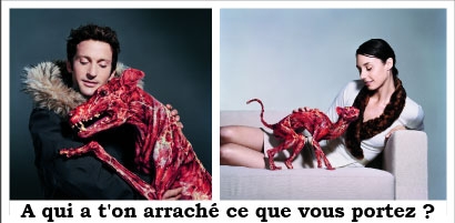 Provocative Advertising Spa%20fourure